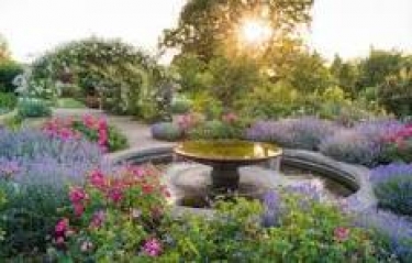 Royal Horticulture Society (RHS) Wisley & Raw Charging-ensuring you are charged